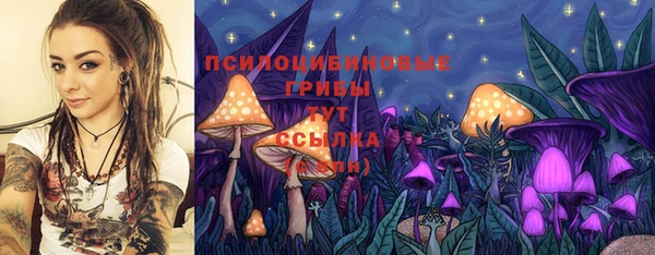 прущая мука Верея