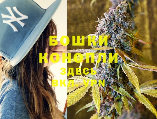 индика Весьегонск