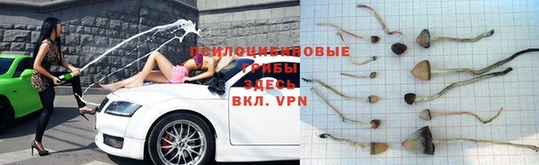 гашик Армянск