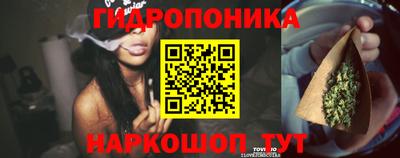 спайс Гусь-Хрустальный