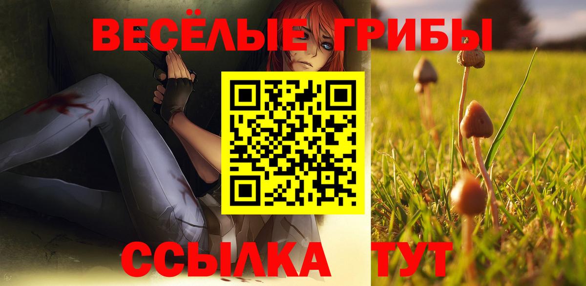 закладка  Псилоцибиновые грибы мухоморы  Вход с VPN  Дедовск 