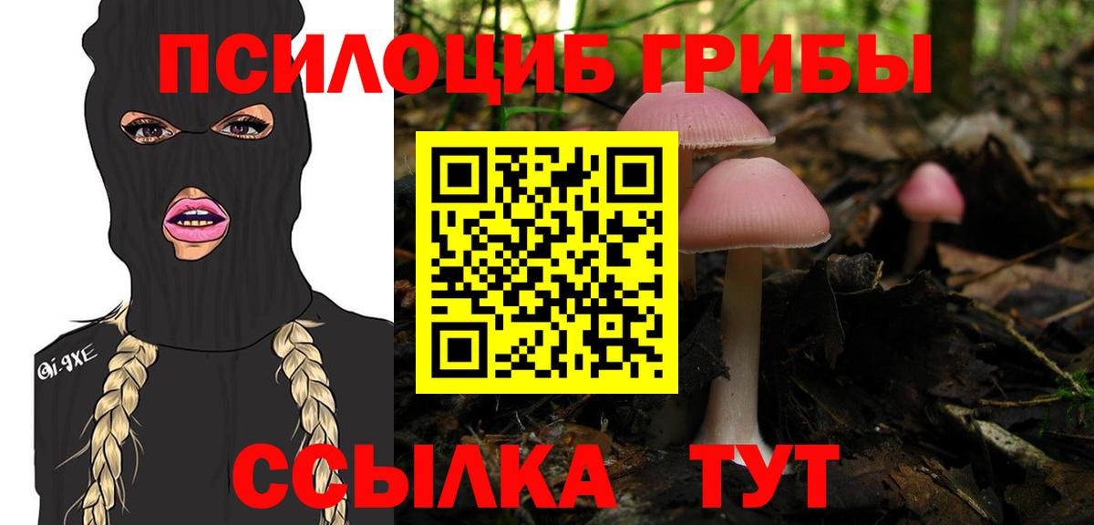 купить  цена  Дедовск  Псилоцибиновые грибы мицелий 